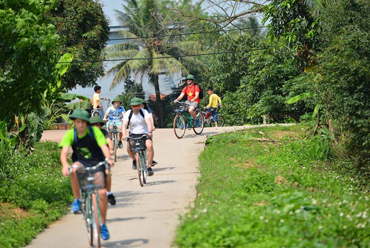 Culture tour - biking