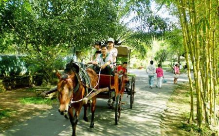 Ho Chi Minh - My Tho - Hoian - My Son - Hue - Hanoi 